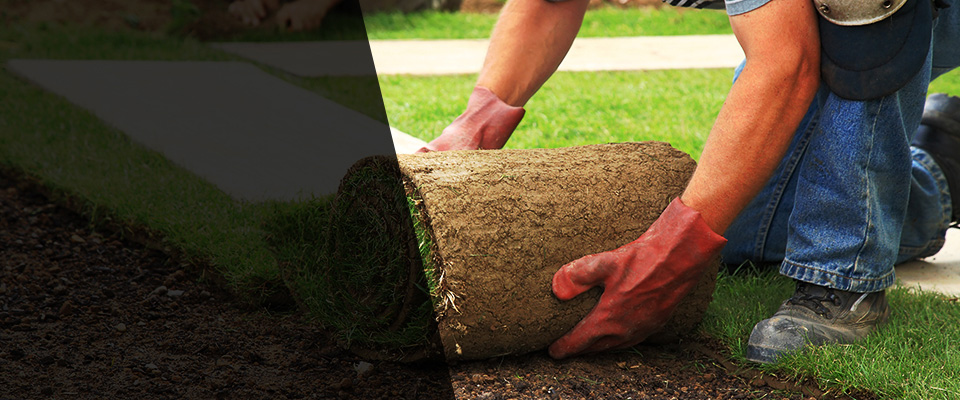 Vinemont Landscapers